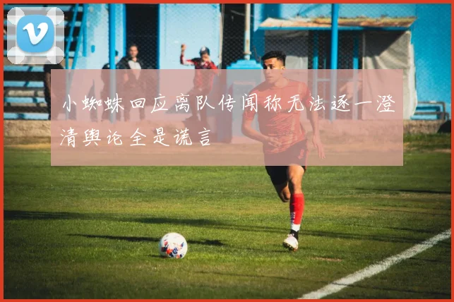 小蜘蛛回应离队传闻称无法逐一澄清舆论全是谎言
